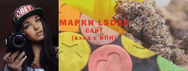 PSILOCYBIN Арсеньев