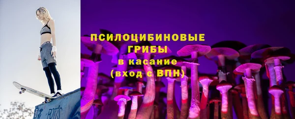 твердый Армянск